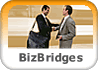 Biz Bridges